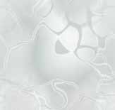 Grey wallpapers