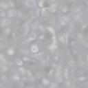 Grey wallpapers
