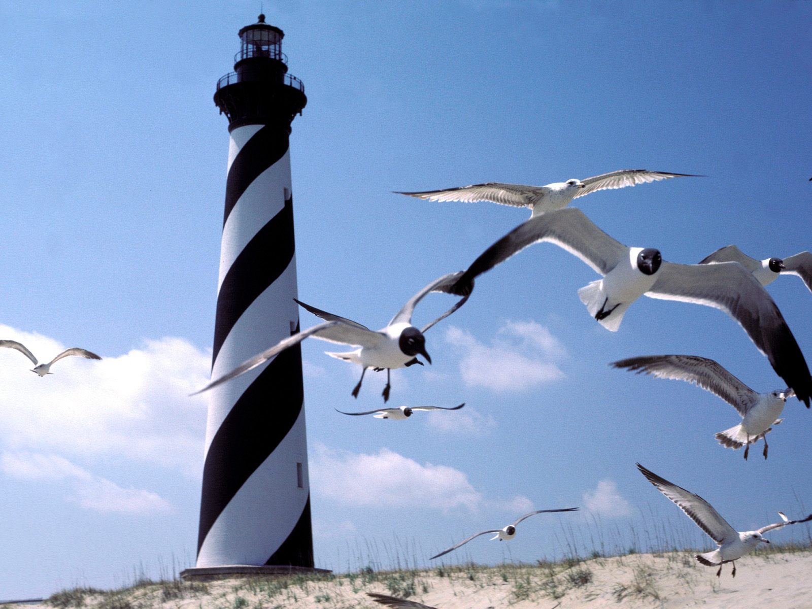 Lighthouses