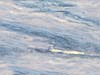 Marble wallpapers