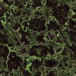 Marble wallpapers