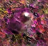 Multi colour wallpapers
