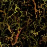 Multi colour wallpapers