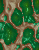 Multi colour wallpapers