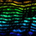 Multi colour wallpapers