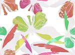 Multi colour wallpapers