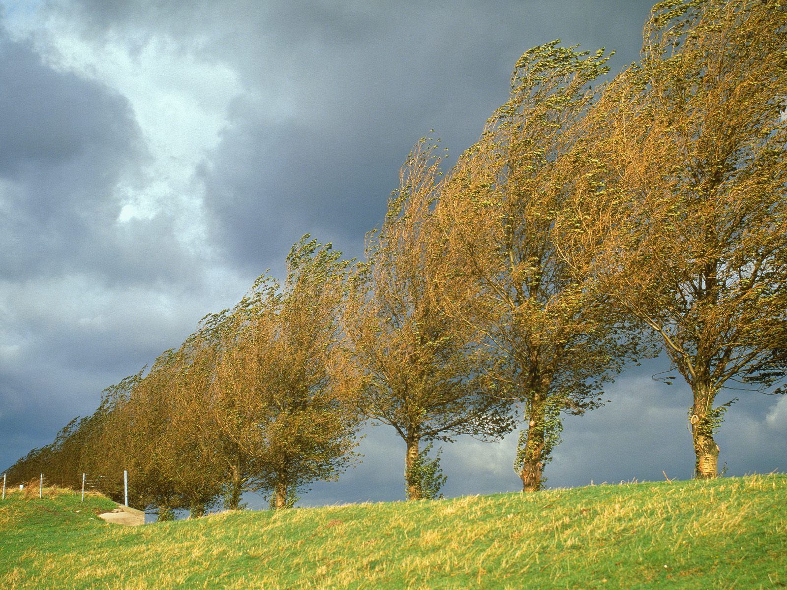 Netherlands wallpapers