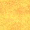 Orange wallpapers