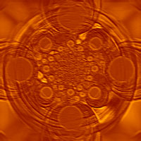 Orange wallpapers