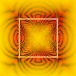 Orange wallpapers