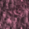 Pink wallpapers