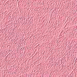 Pink wallpapers