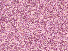 Pink wallpapers
