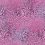 Pink wallpapers