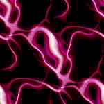 Pink wallpapers