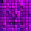 Purple wallpapers