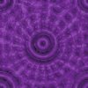 Purple wallpapers