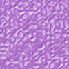Purple wallpapers