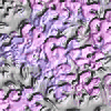 Purple wallpapers