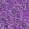 Purple wallpapers