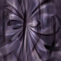 Purple wallpapers