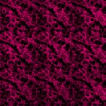Purple wallpapers