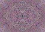 Purple wallpapers
