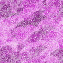 Purple wallpapers