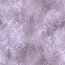 Purple wallpapers