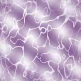 Purple wallpapers