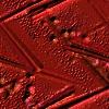 Red wallpapers