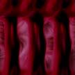 Red wallpapers