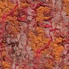 Red wallpapers