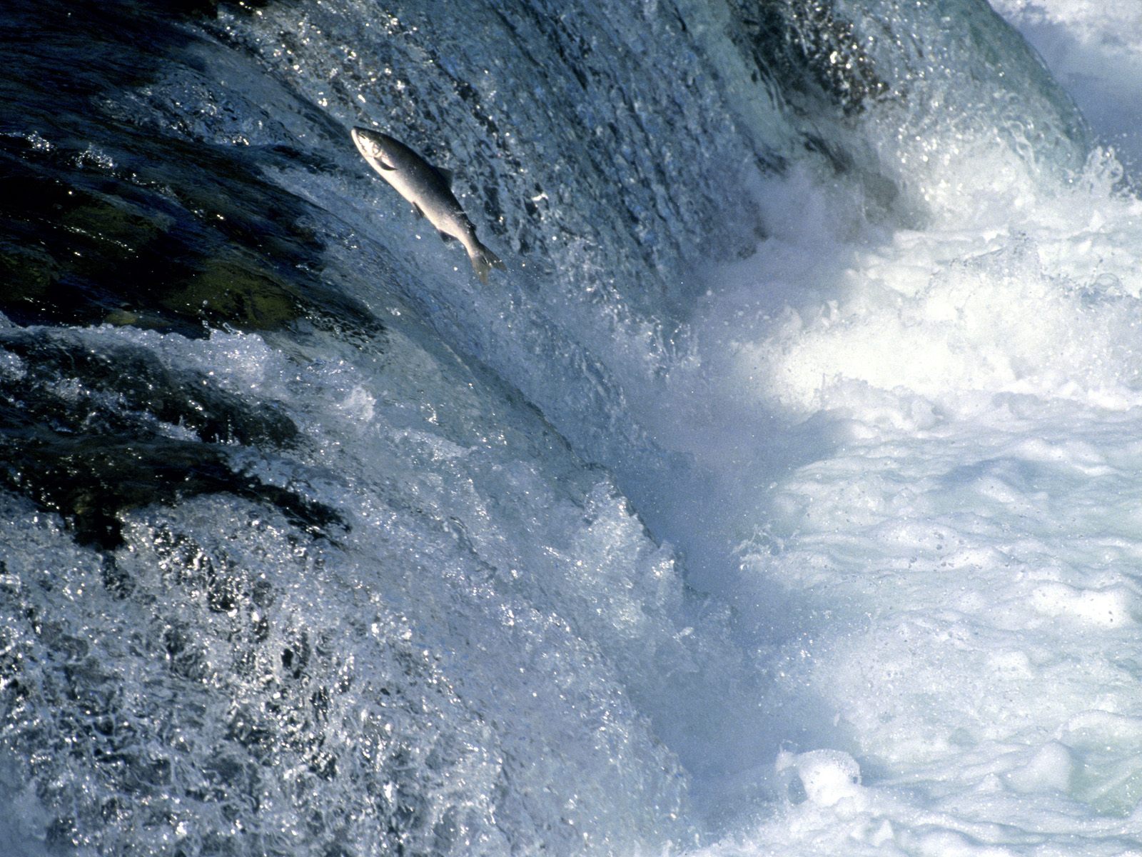 Rivers wallpapers