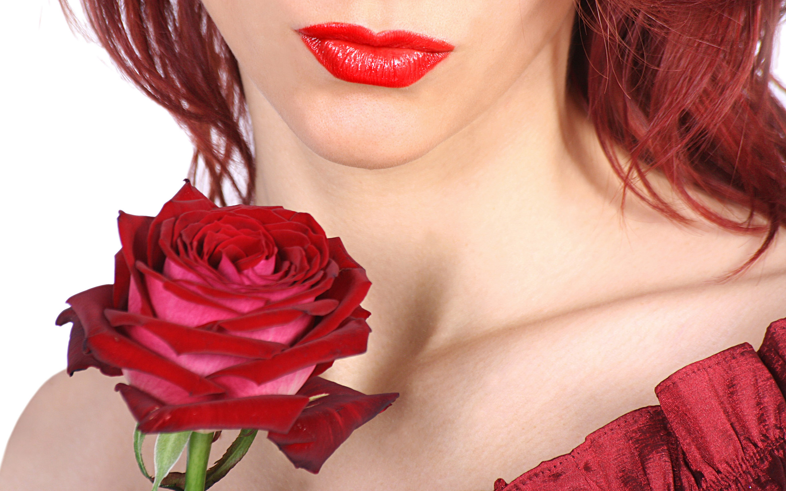 Roses wallpapers