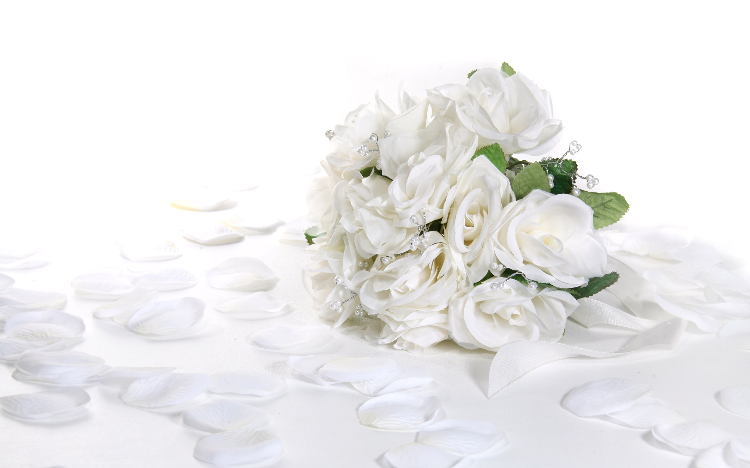 Roses wallpapers