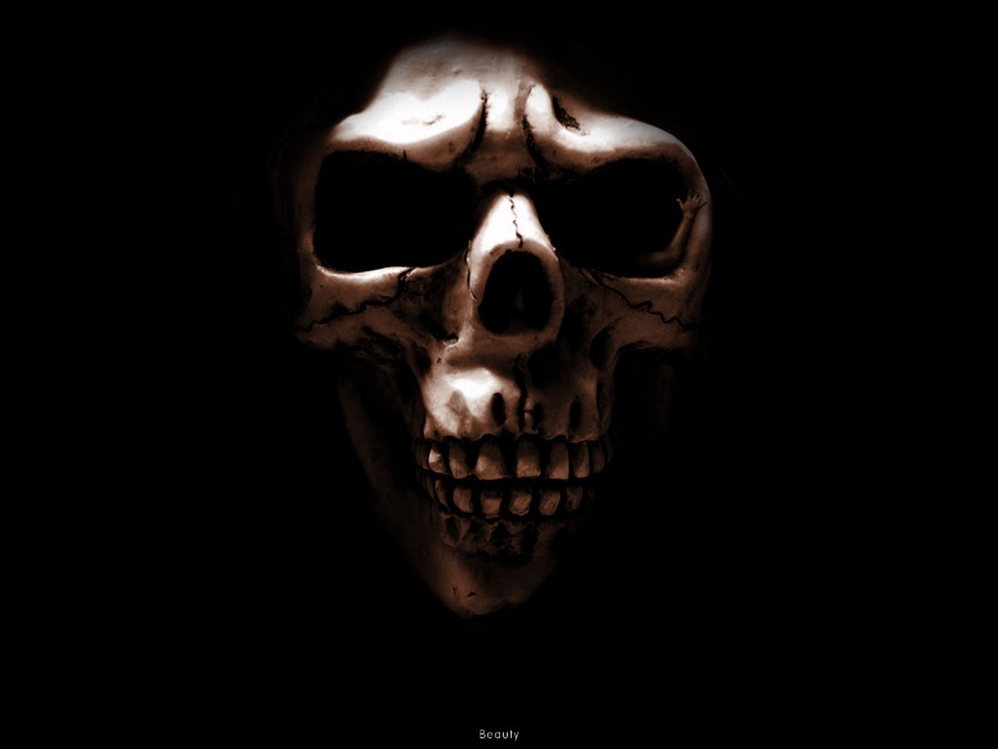 Skull wallpapers