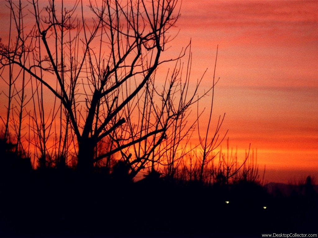 Sunset wallpapers