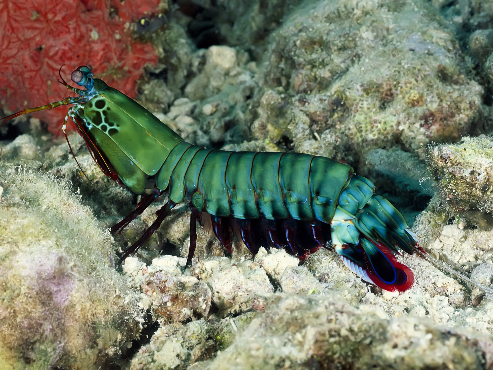 Underwater