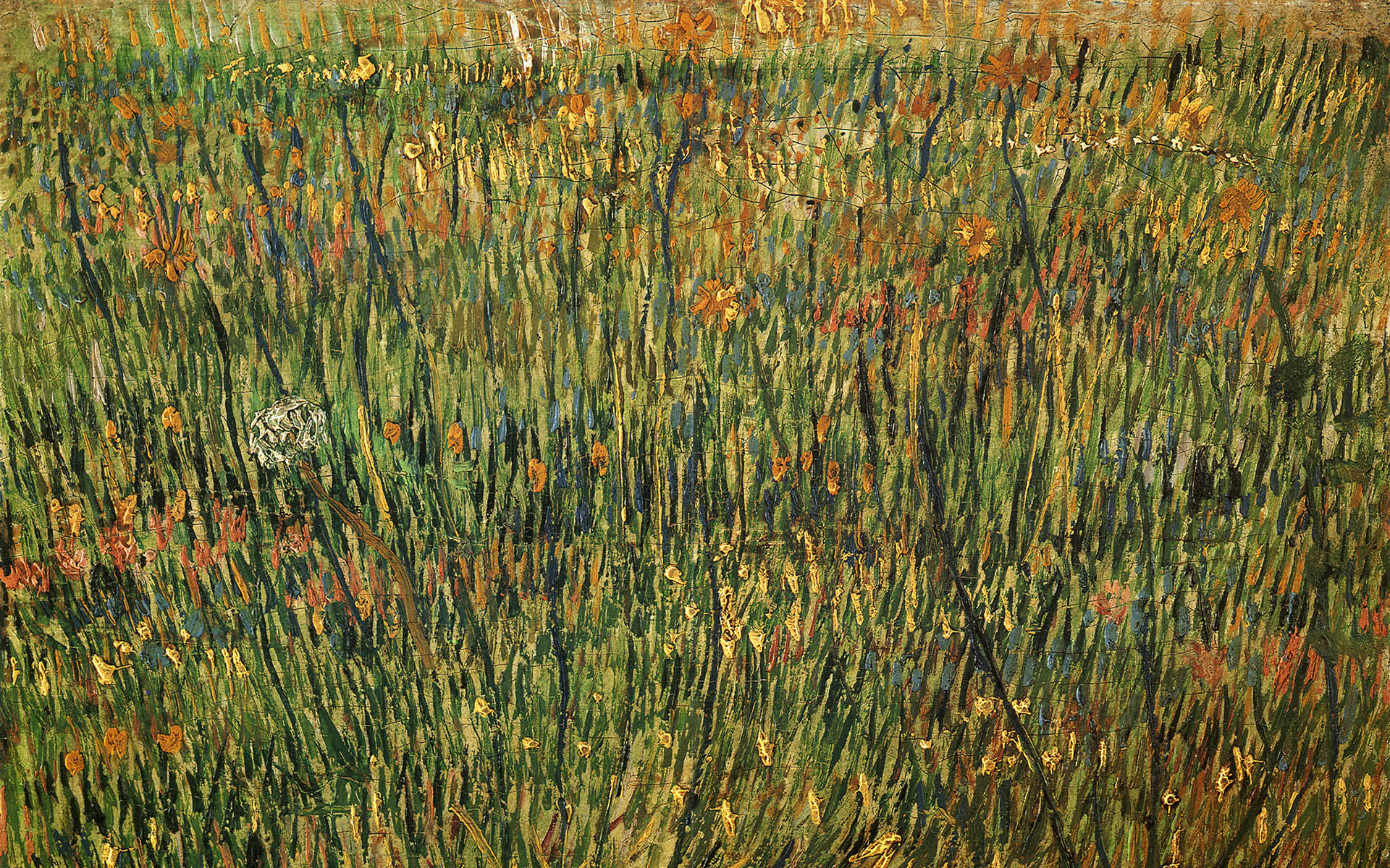 Van gogh wallpapers