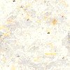 White wallpapers