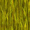 Yellow wallpapers