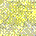 Yellow wallpapers