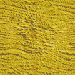 Yellow wallpapers